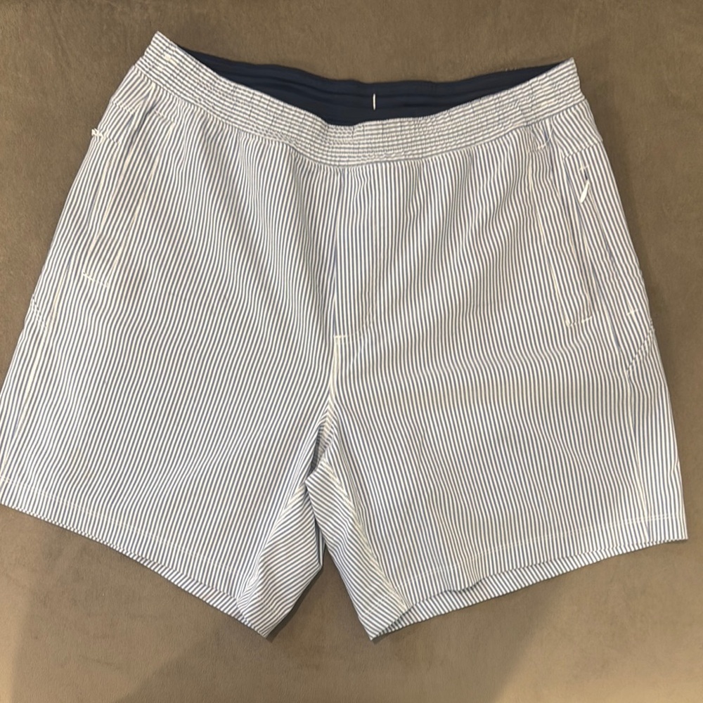 Birddogs Light Blue Striped Athletic Workout Shorts